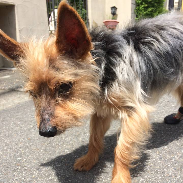 D5902f47 b8b9 441f a089 9e77b5b2e4c0