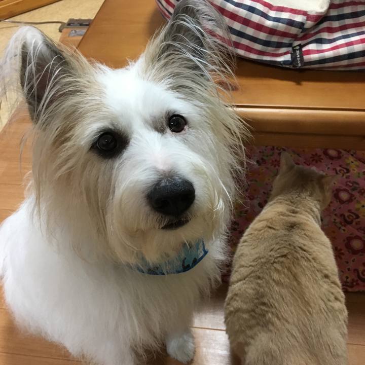 D590c914 7a8c 4860 aa24 73e512f366b9