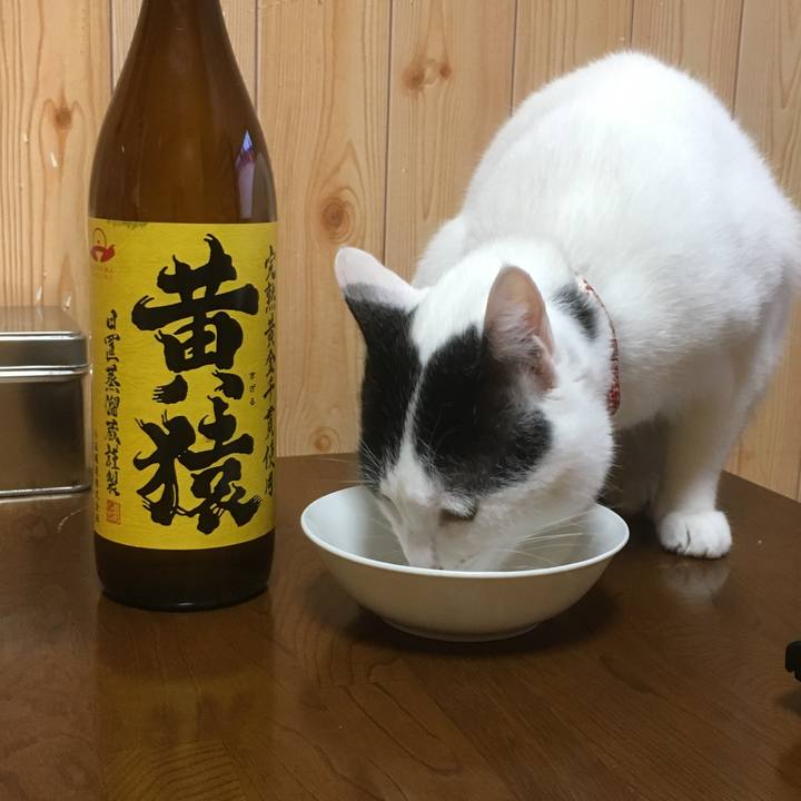 D591307b 89d6 4c3d 8767 8a757735d6bf