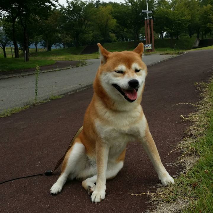 D5919579 c432 4051 a08a 8faad598cf7f