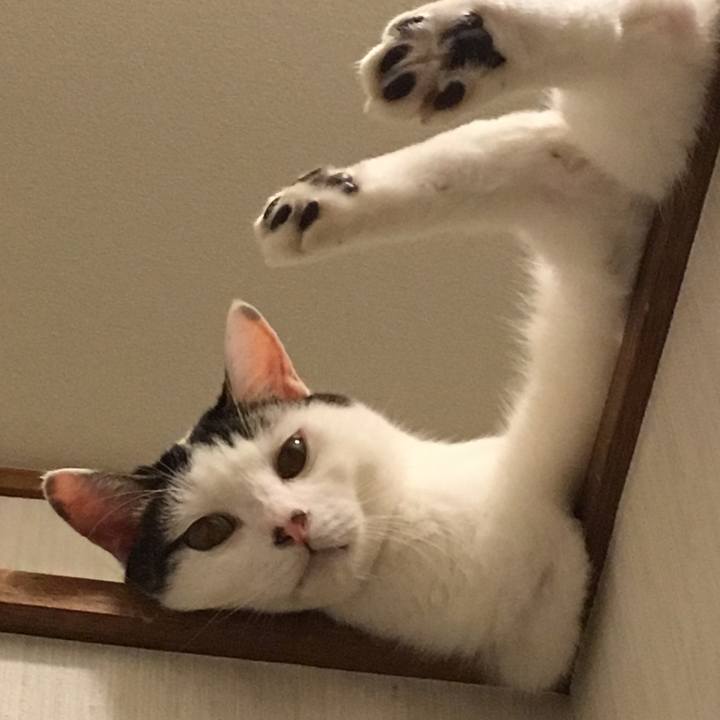 D59199ad a7e4 4949 9335 a6a99884fbd7