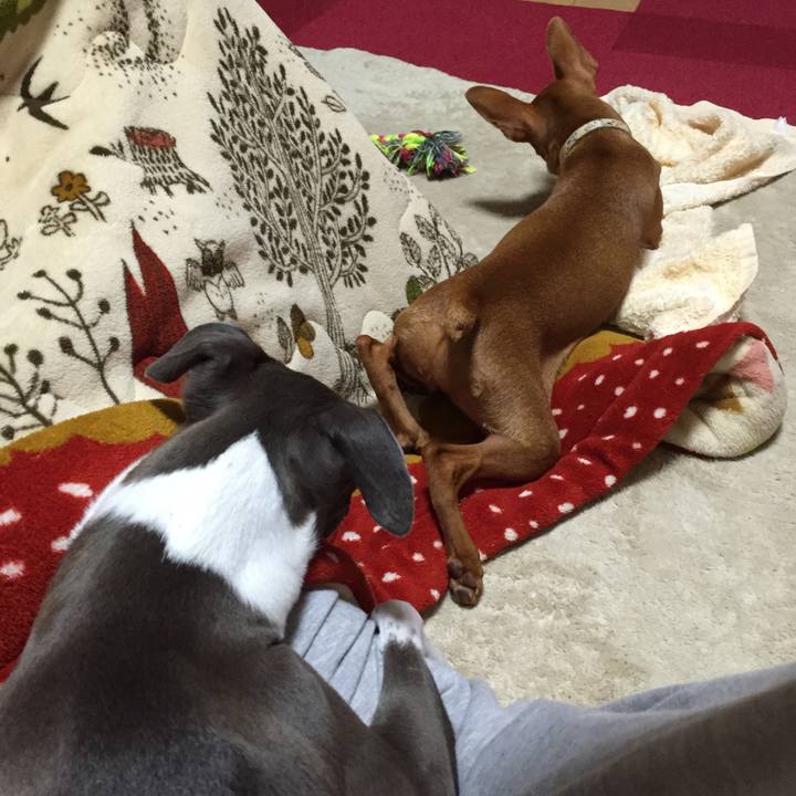 D591bc28 8462 481f 85af 3d590ef8e9df