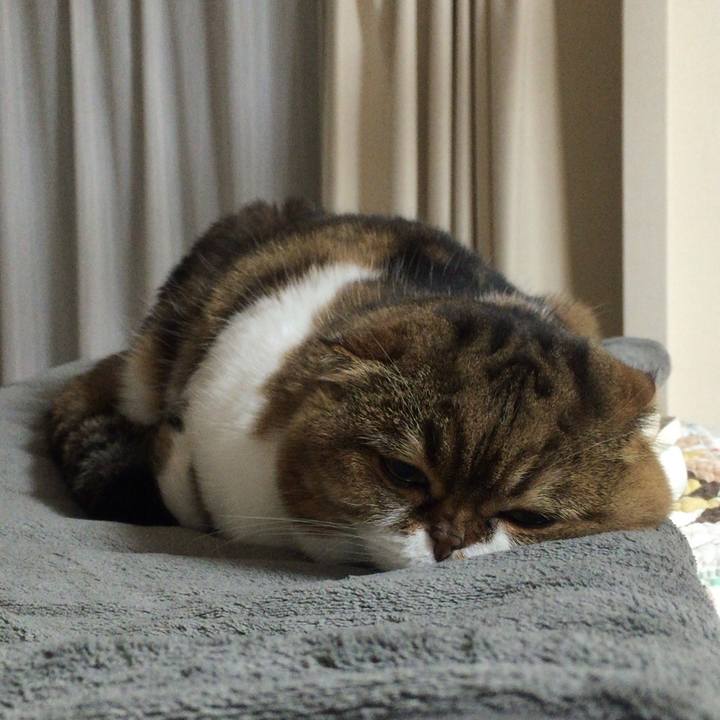 D5921f9a 33fa 4342 afce ddc85775f196