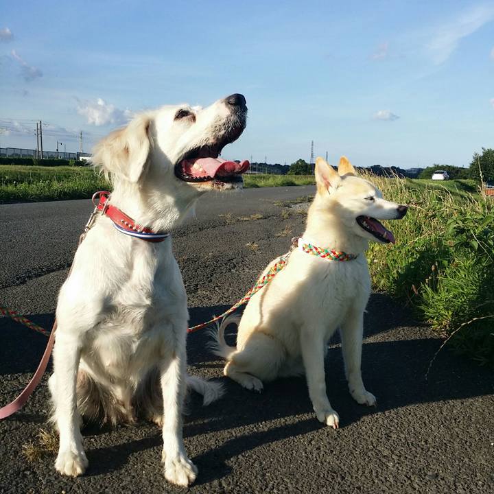 D5935e70 7e2c 43c8 acb8 c8624967c035