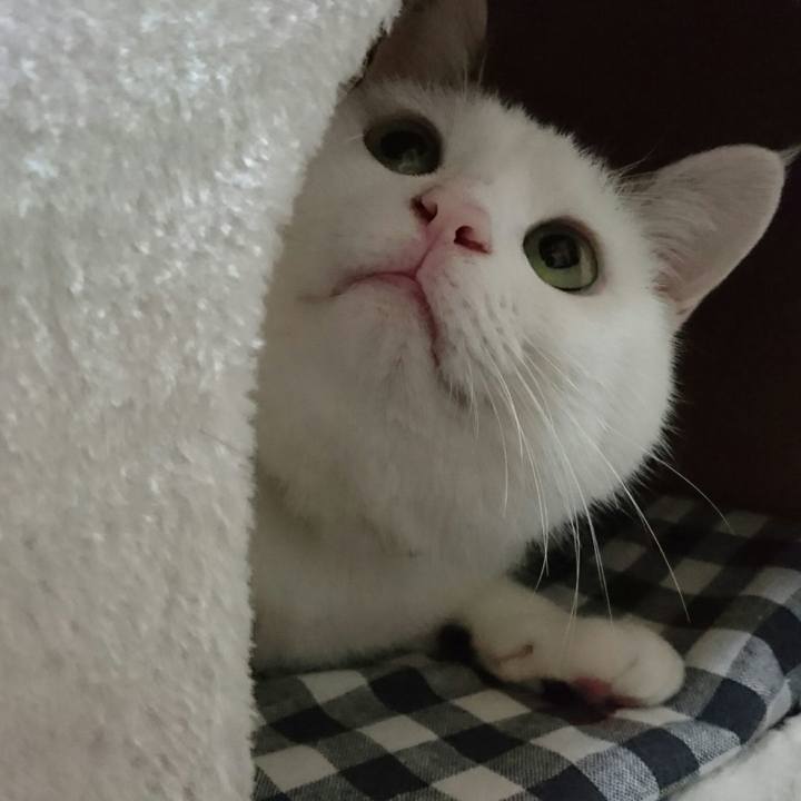 D5937383 9792 4fe6 9f72 2abe791a0c73