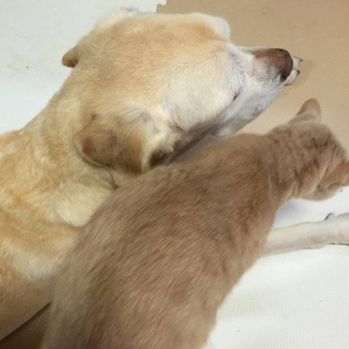 D593e833 536d 4266 ad7d 4a2ee5569ae5