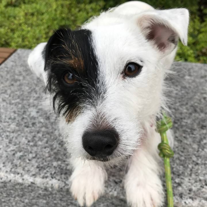 D594c5eb 9778 4150 ac7f 5b19a4b44632