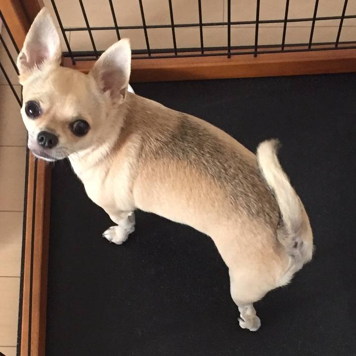 D594d837 8cea 44a2 b9a1 16f1c516d0ff