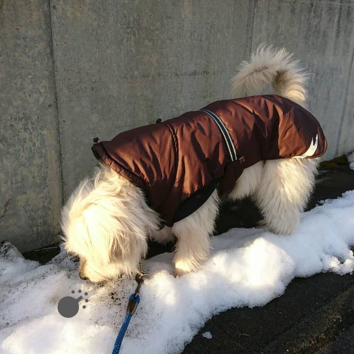 D595d770 33a0 4fb2 9b64 1b26efe375c9