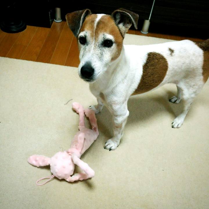 D5960271 315c 4add 9e3b c0c8256f791d