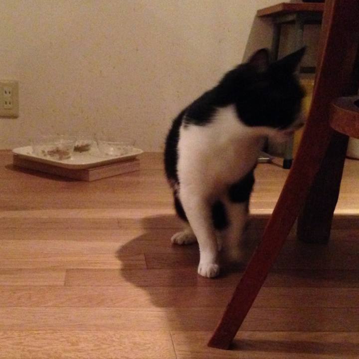 D5960313 a0c5 4397 ac7d 792bb77bdc59