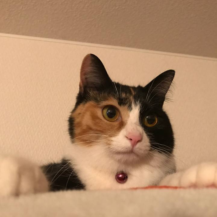 D59609cc 4fb4 4dd6 a9c0 d2c8dec4718f