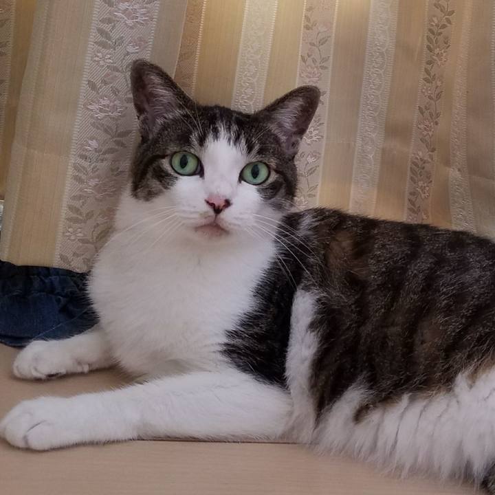 D5965137 fec5 4c08 b49a 3245dd39ad13