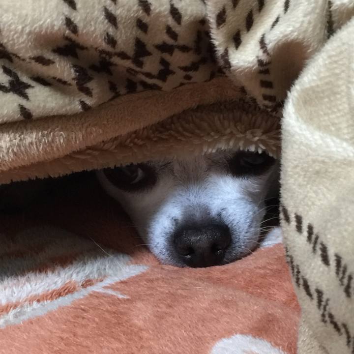 D596535c b983 48f4 a677 154d542cebd8