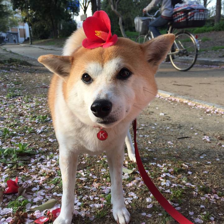 D59676b4 fc99 40af b17b 54d9b37a5c20