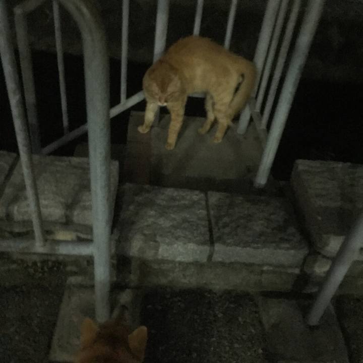 D596cd45 2c38 4ad8 bbda 6bb7e01f1830