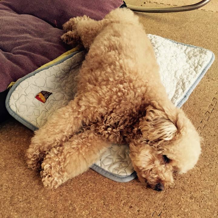 D59715ac d34c 4eed bc63 068abc7d0a4d