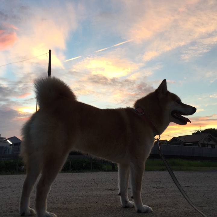 D59792cb 264f 4ccb af73 3cd3d96d81dd