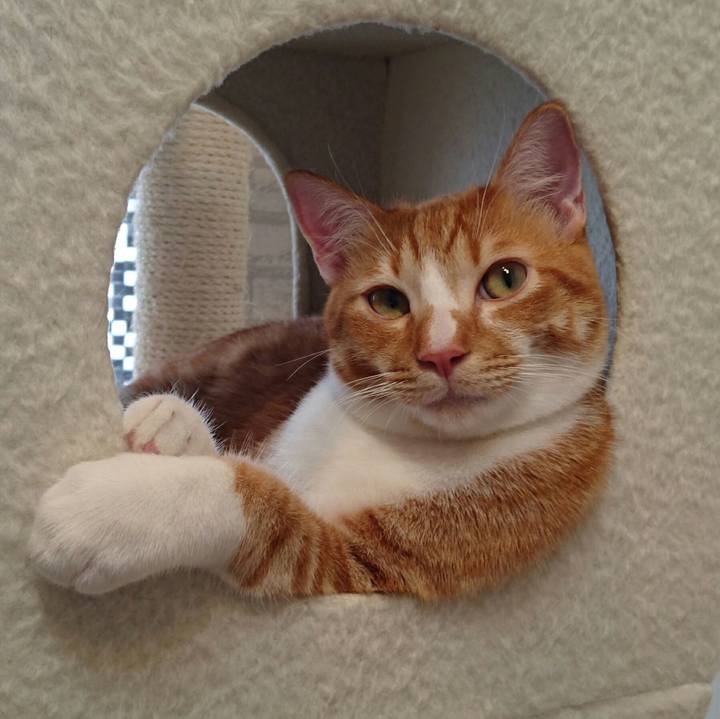 D597fbe0 3d9c 4819 a27b 1e2a65ffdb01