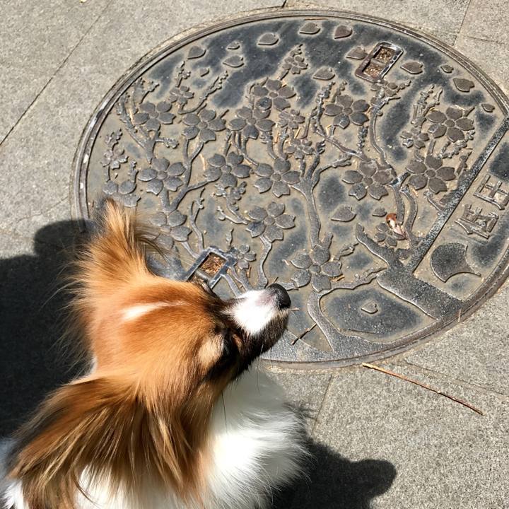 D59833ba 4921 4e41 ada8 b63c46ae68a0