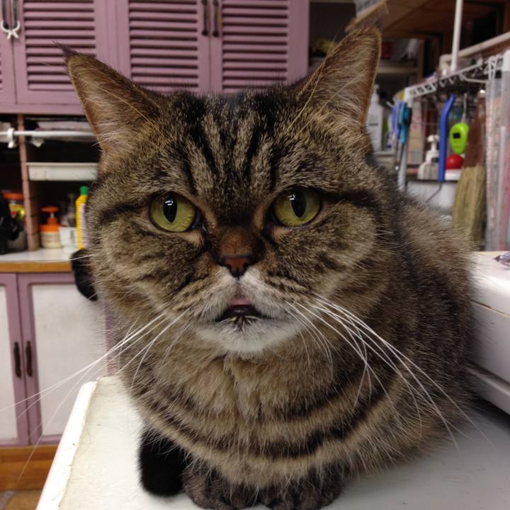 D5984b4c c5f1 41ed 810d 2b746e57f9a0