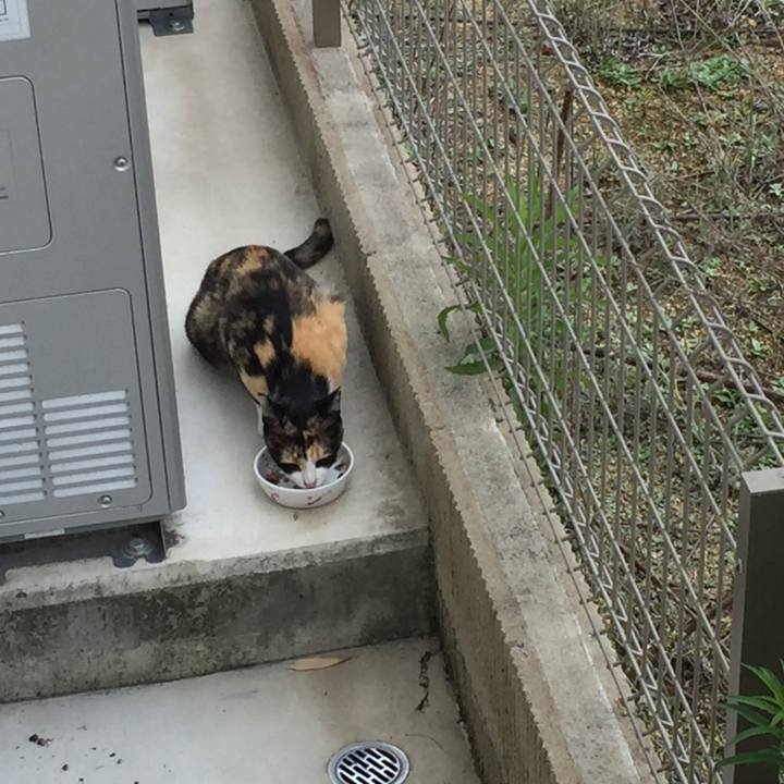 D5988692 73eb 4d37 b6f0 a332400190d2