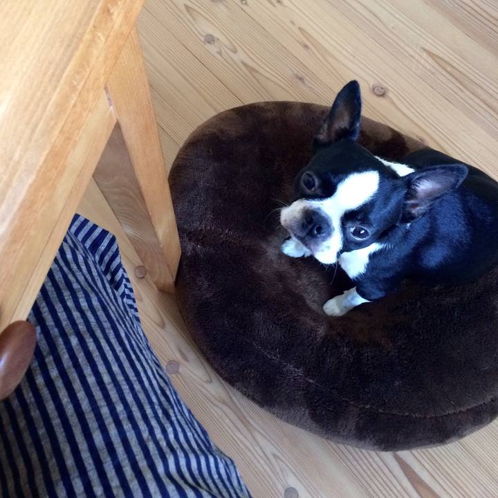 D5991ca4 67be 469d a928 29e17162802b