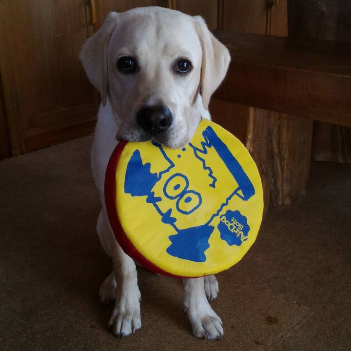 D5991ee3 6bca 448b 91e1 85e9e32fed1b