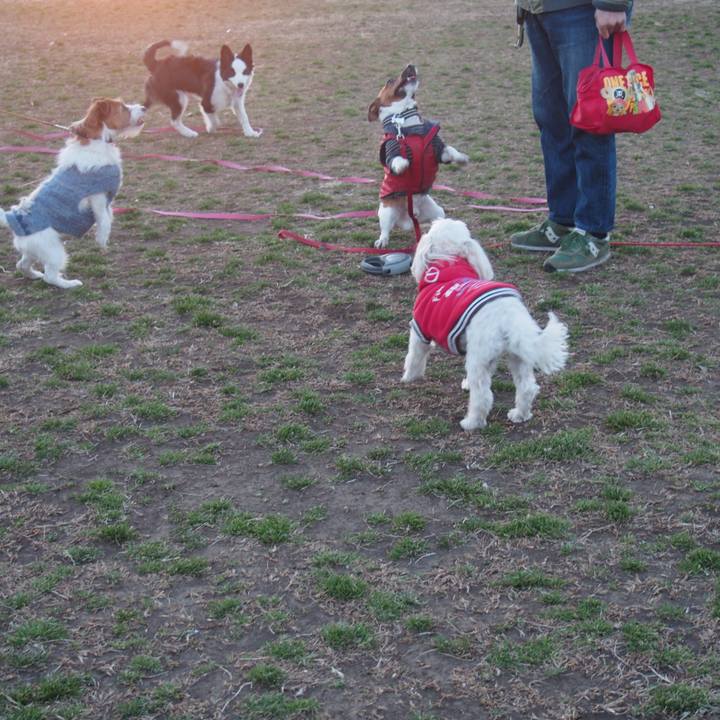 D599db9e 2042 48af b035 6d2bf133b410