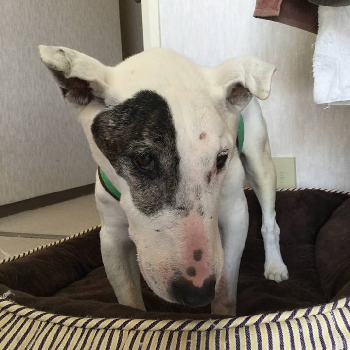 D599def7 5b70 4268 8622 91186feb5fd0