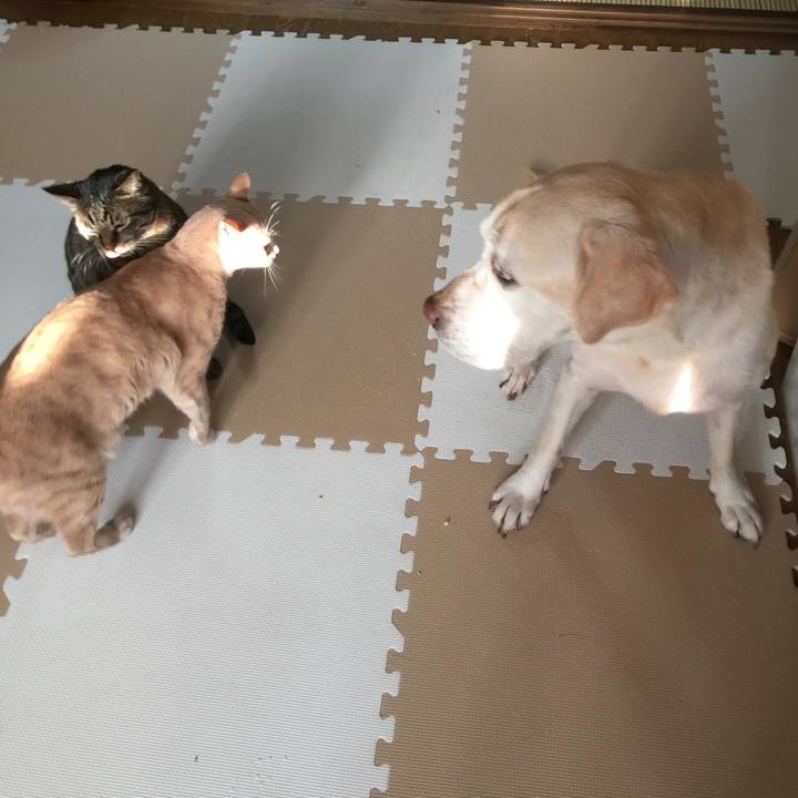 D59a09c2 7554 407a 9171 a99950686812