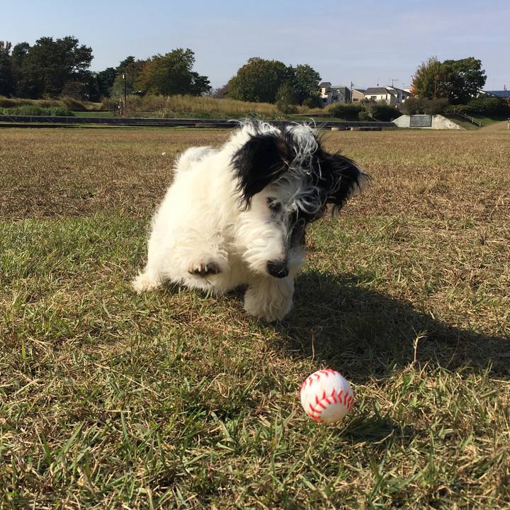 D59a2e7a 4232 4a7c 97e3 f8f583ec3e90