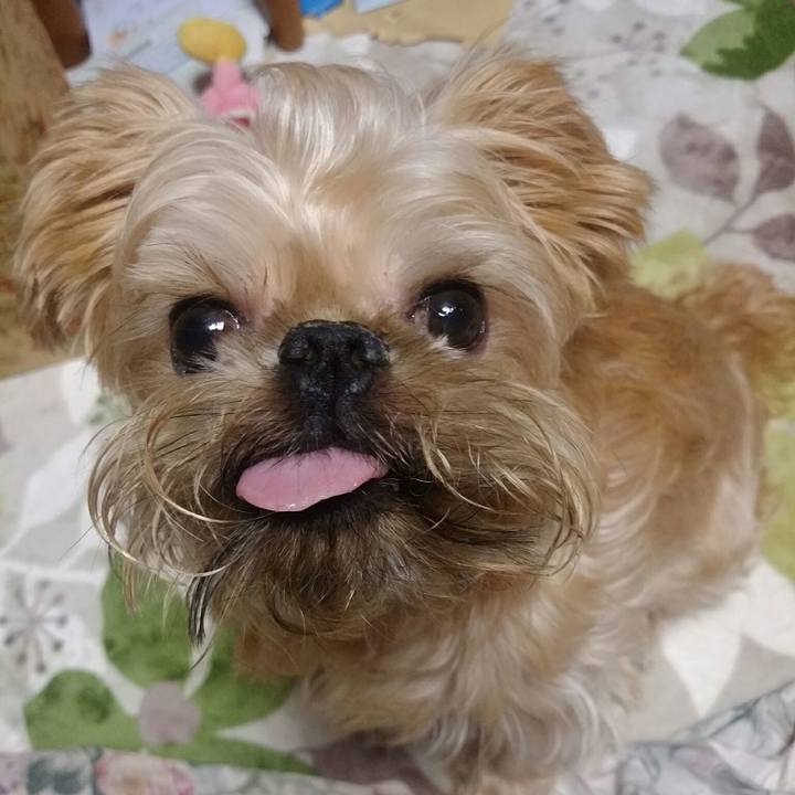 D59b3a11 838d 492e 9ec6 c5f41b287456