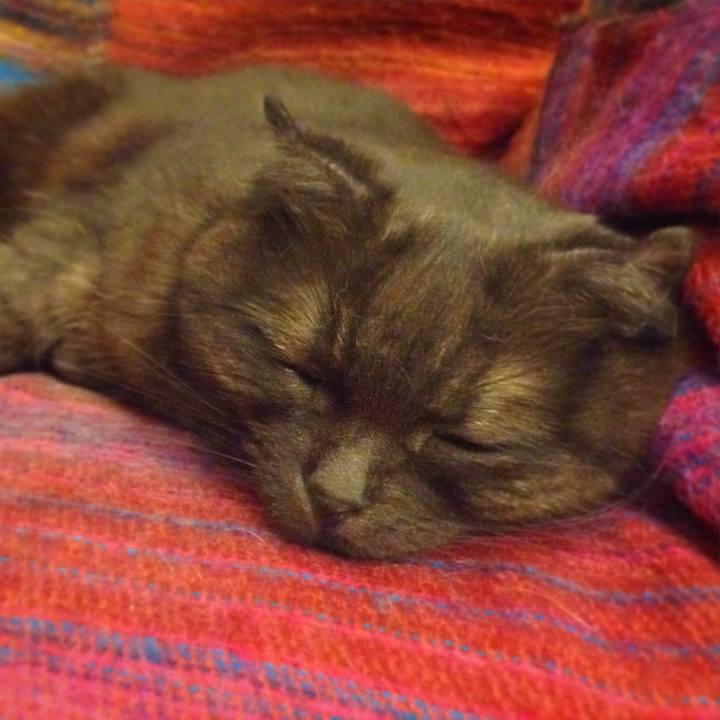 D59b5837 0e94 41a7 bffb 436fbcc526dc