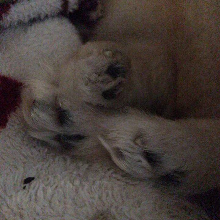 D59b705c e2ee 4f63 bb5a 09bc517c5fa7