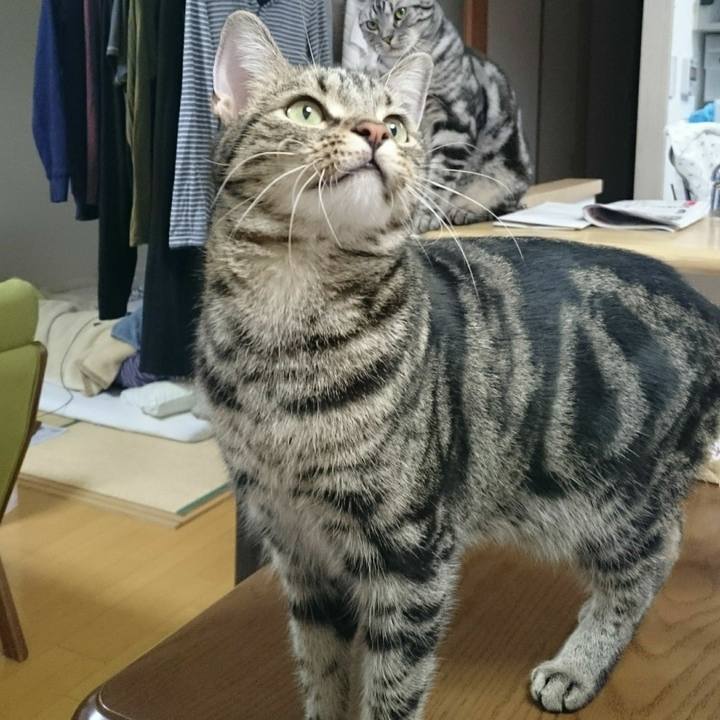 D59b79e6 bf88 4ce2 a5cf ca2689bc9db5