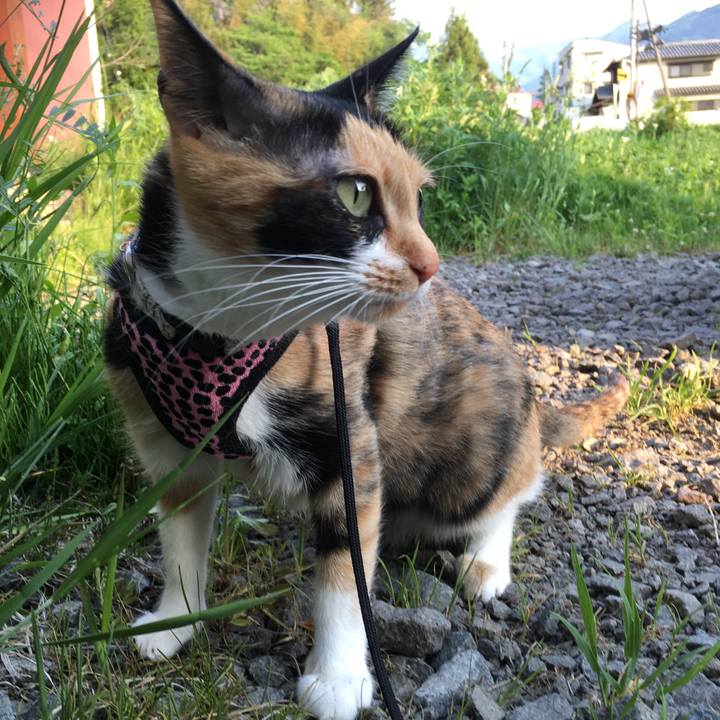 D59b89fd 03a8 4992 9321 0db6904b668d