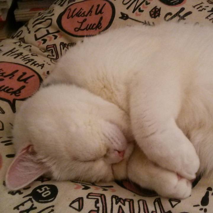 D59b9cfa 32a1 4803 8897 7a96370f6b81