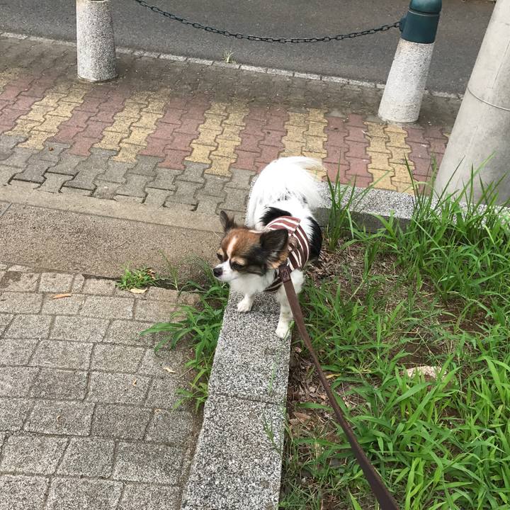 D59bdbe0 b158 4d9e 8d5e 10e078bb697a