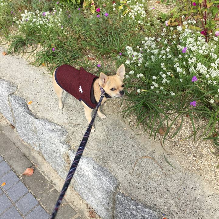 D59c0759 5381 4f6d a648 7e812c55ffbf