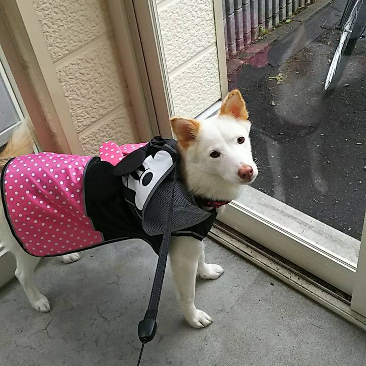 D59c6ea0 35f5 40f5 ad67 5dc9c6623437