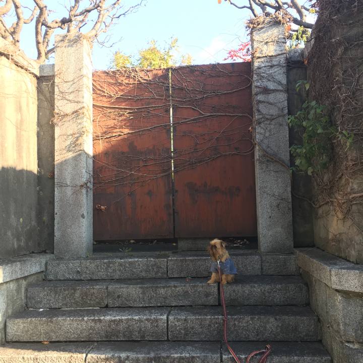 D59c9804 e2ed 4179 bb2a c32544614e00