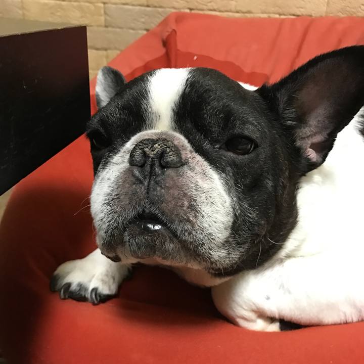 D59d080d 85a4 46ee 9379 04f1fc3638be