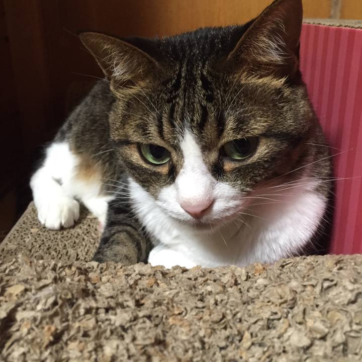 D59daa41 4c42 442a 9d0f 8eaa54203821