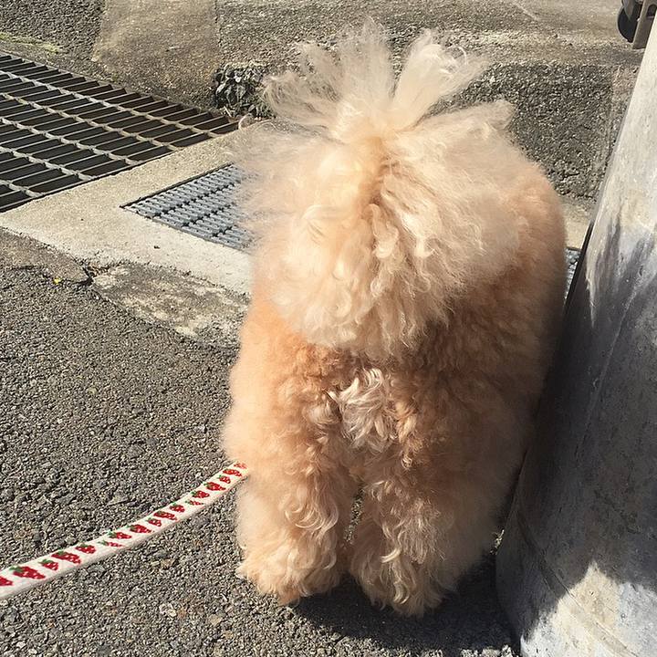 D59e1a10 0dcc 479f babe 68da5da8ab41