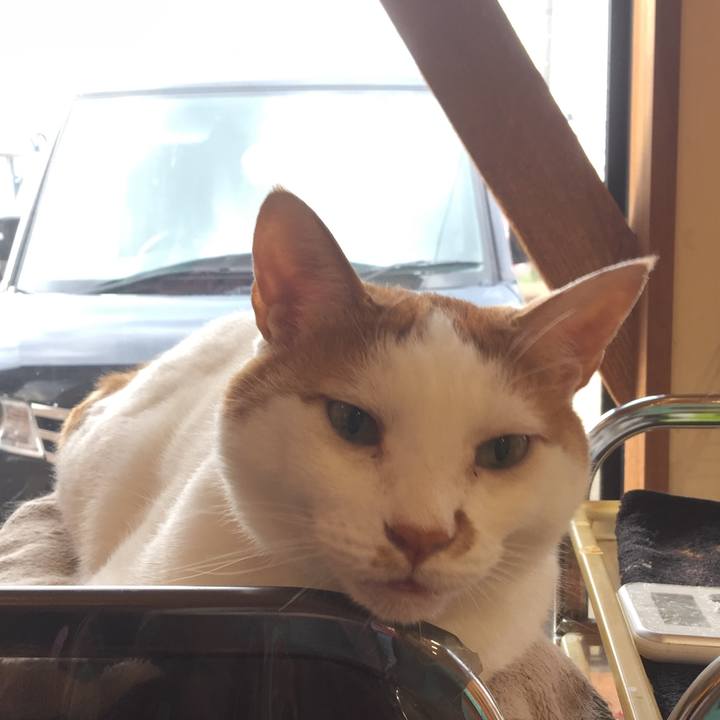 D59e2a76 5ef8 44ad 9a0b 4e651a1c8ea7