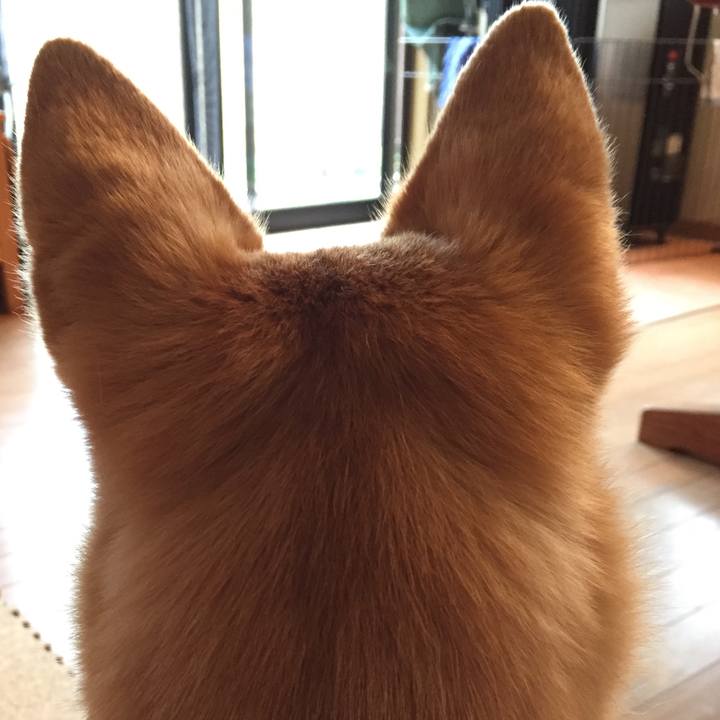 D59fa0f4 2fef 4575 8b1d cf5ea15fe592