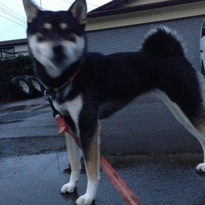 D59fbe0a 2e7e 484e a67c 841344eb24ad