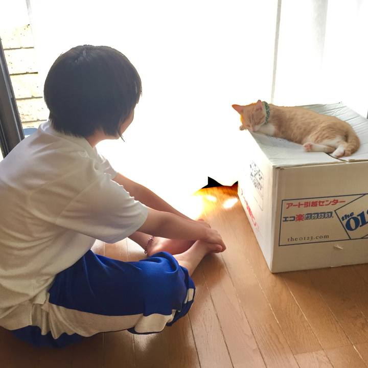 D59ff311 ef76 4aed a269 021e7e4de9d6