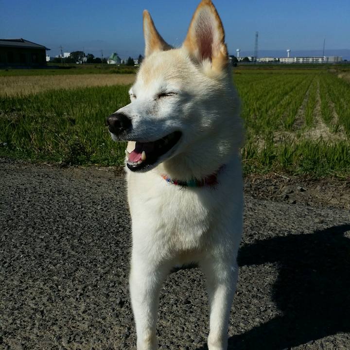 D5a0c55c aba8 49ab 9f5d 4e791c05dcb4